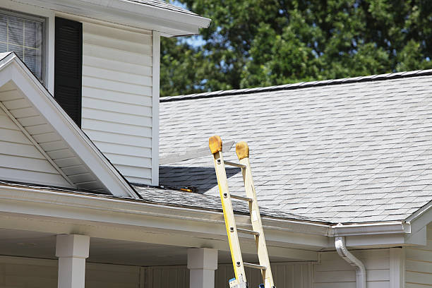 Best Wood Siding Installation  in Brady, TX